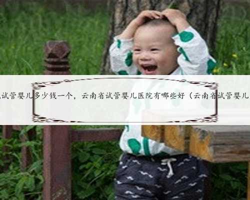 云南九洲医院三代试管婴儿多少钱一个，云南省试管婴儿医院有哪些好（云南省