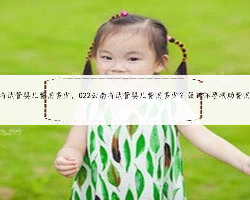 云南省试管婴儿费用多少，022云南省试管婴儿费用多少？最新怀孕援助费用清单
