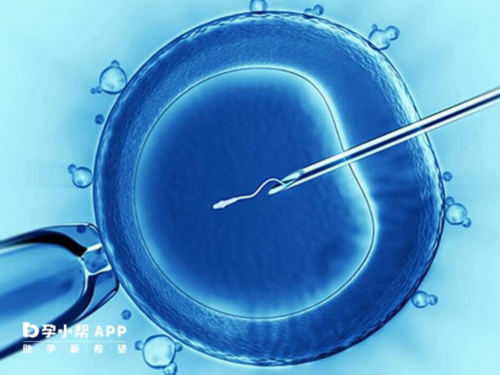 试管婴儿出生后父母有没有必要做亲子鉴定？